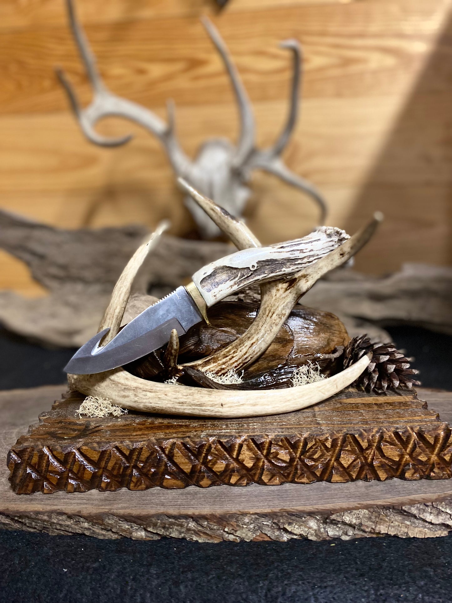 “Georgia Buck Hooker” custom 4”knife and display by Antler’d Designs